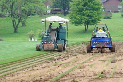 Custom Machine Design & Build | Lavy Enterprises